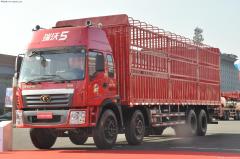福田 瑞沃ADX 科技版 260马力 8X4 栏板载货车(BJ1312VPPHJ-F1)