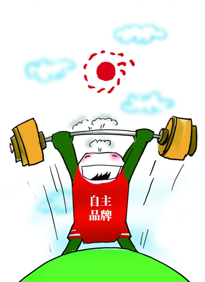 不能单一化自主品牌