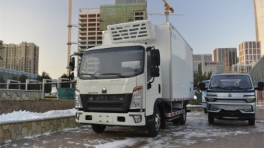 HOWO轻卡悍将4X2纯电动冷藏车
